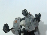 Transformers Skullgrin Classics Series