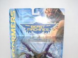 Transformers Blackarachnia Beast Era