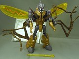 Transformers Transquito Beast Era