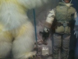 Star Wars Luke Skywalker vs. Wampa Collector Series (12 Inch)