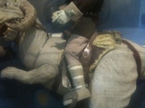 Star Wars Han Solo & Tauntaun Collector Series (12 Inch)