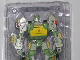 transformers Warbots: Defender Fans Project