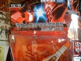 Transformers Safeguard Animated