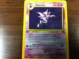 Pokemon Haunter First Generation