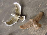 G.I. Joe Raptor Classic Collection image 2
