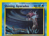 Pokemon Shining Gyarados Second Generation