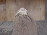 Star Wars Squid Head Vintage Figures (pre-1997) thumbnail 9
