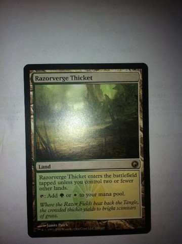 Magic The Gathering Razorverge Thicket Scars of Mirrodin