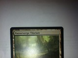 Magic The Gathering Razorverge Thicket Scars of Mirrodin