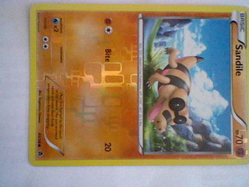 Pokemon Sandile Black and White
