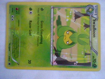 Pokemon Swadloon Black and White
