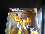 Transformers Sunstorm (War Within) Titanium